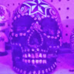 Meet your Posher, Donnavan